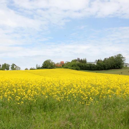 Meeresblick Residenzen FeWo 33 deluxe, inklusive Sauna und Schwimmbadnutzung im AHOI Sellin Goehren  Exterior foto